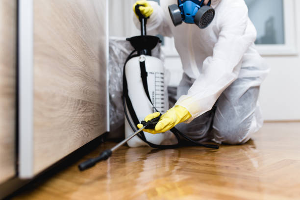 Best Pest Inspection Near Me  in East Glenville, NY