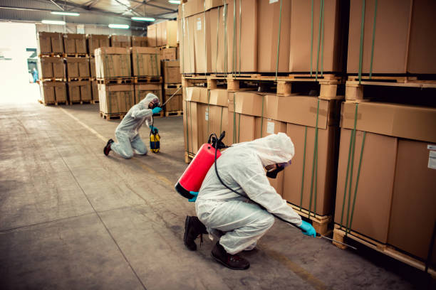 Best Flea Control Services  in East Glenville, NY