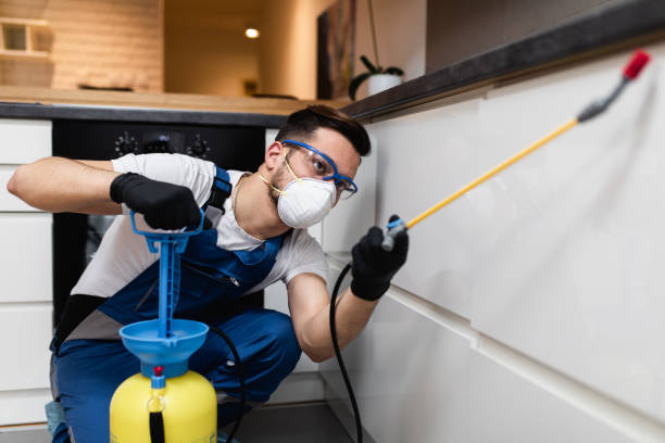 Best Rat Extermination Near Me  in East Glenville, NY