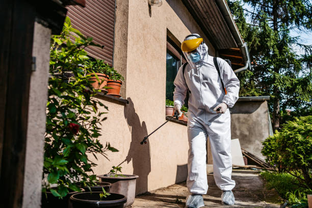 Best Flea Control Services  in East Glenville, NY