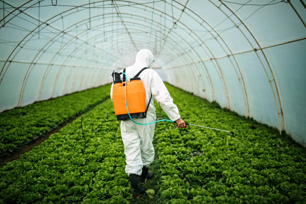 Best Local Pest Control Services  in East Glenville, NY
