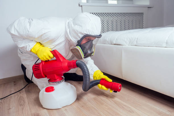 Best Best Pest Control Companies  in East Glenville, NY