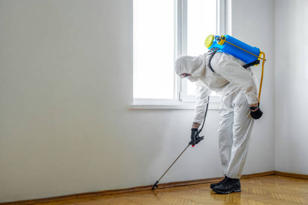 Best Mosquito Control Services  in East Glenville, NY
