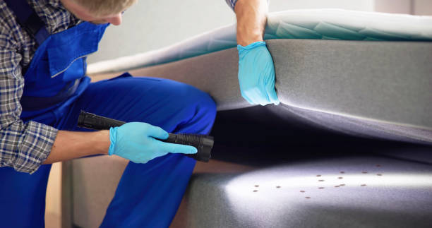 Best Pest Inspection Near Me  in East Glenville, NY