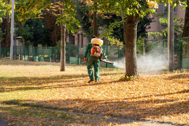 Best Rat Extermination Near Me  in East Glenville, NY