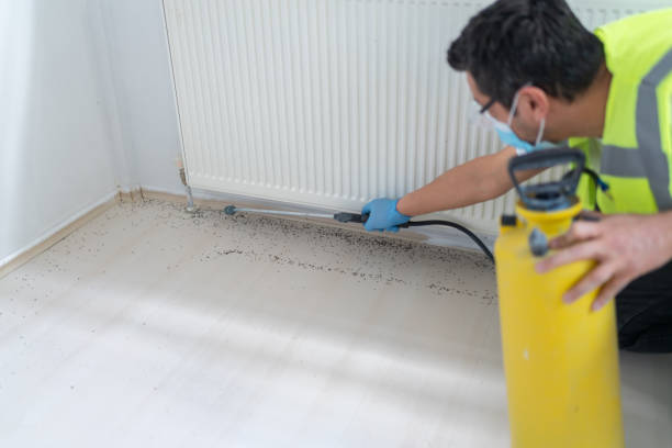 Best Flea Control Services  in East Glenville, NY